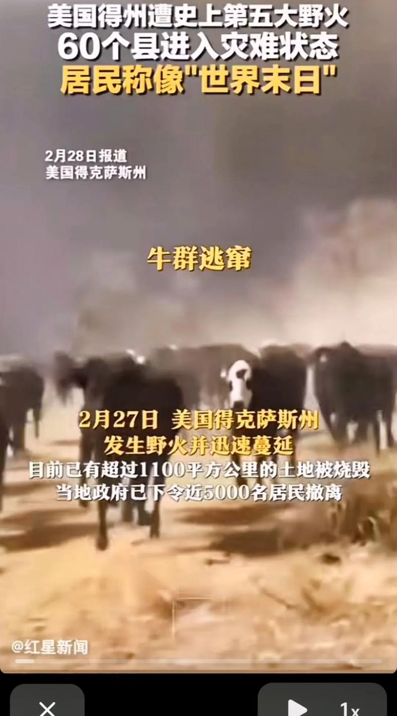 美国州疫情，美国州疫情最新消息-第6张图片-优品飞百科