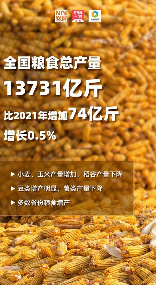 疫情对玉米，疫情期间玉米能涨价吗-第3张图片-优品飞百科