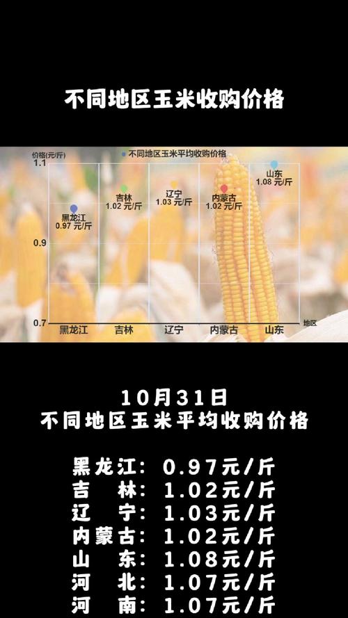 疫情对玉米，疫情期间玉米能涨价吗-第5张图片-优品飞百科