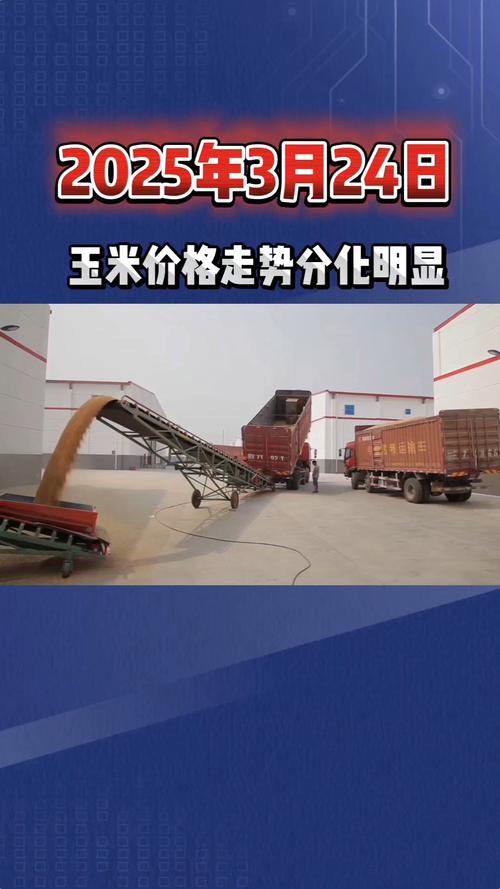 疫情对玉米，疫情期间玉米能涨价吗-第6张图片-优品飞百科