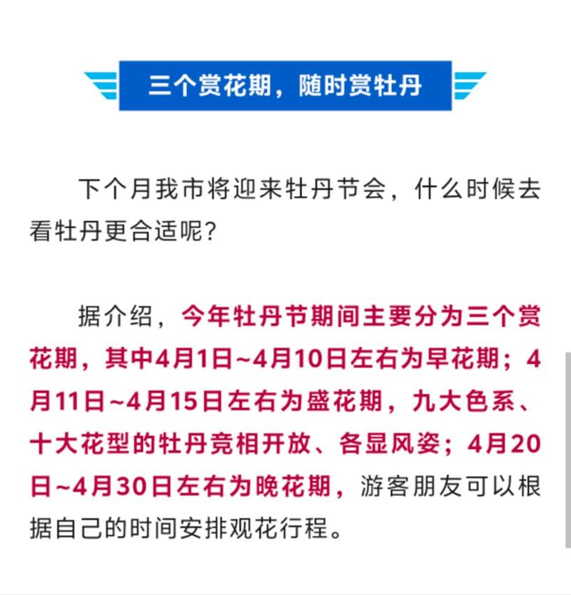 以花会疫情，以花会友的唯美句子-第2张图片-优品飞百科