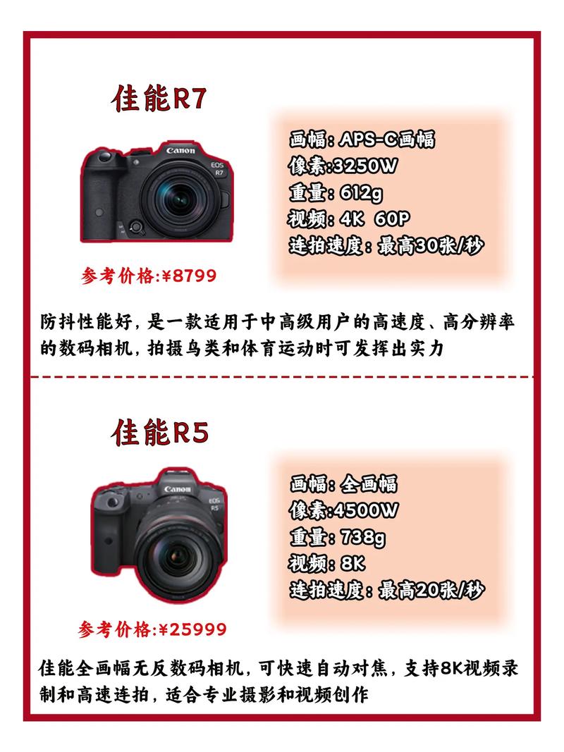 佳能全画幅相机费用，佳能全画幅相机型号排名-第1张图片-优品飞百科
