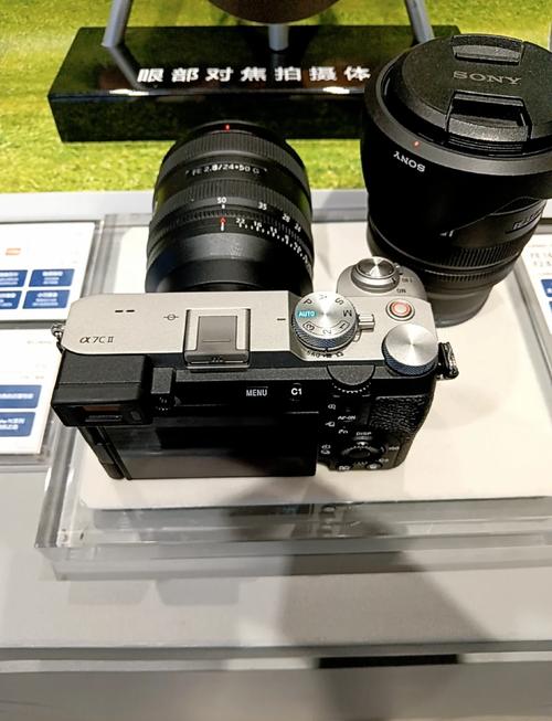 佳能全画幅相机费用，佳能全画幅相机型号排名-第6张图片-优品飞百科