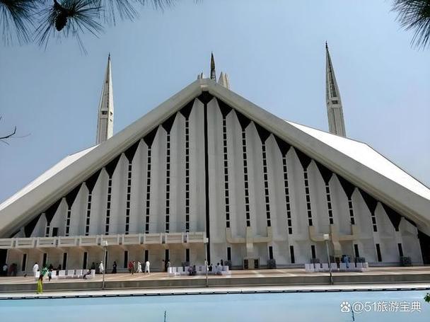 疫情中巴友谊，中巴友谊真实事件疫情？-第5张图片-优品飞百科