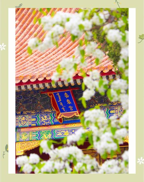 温宿防疫情况？温宿防疫情况怎么样？-第4张图片-优品飞百科