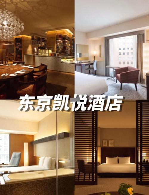 日本酒店房间里有免费wifi吗，日本酒店有网线接口吗-第3张图片-优品飞百科