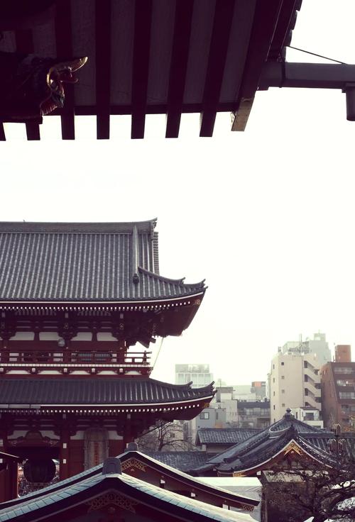 日本酒店房间里有免费wifi吗，日本酒店有网线接口吗-第8张图片-优品飞百科