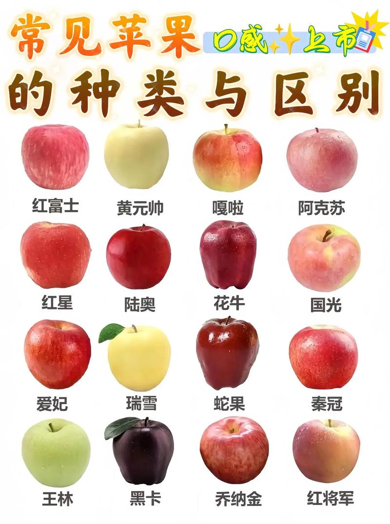 水果苹果介绍资料大全，水果苹果的介绍？-第4张图片-优品飞百科