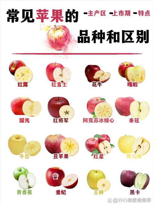 水果苹果介绍资料大全，水果苹果的介绍？-第5张图片-优品飞百科