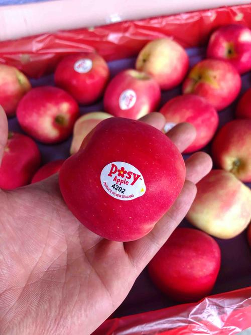 水果苹果介绍资料大全，水果苹果的介绍？-第7张图片-优品飞百科