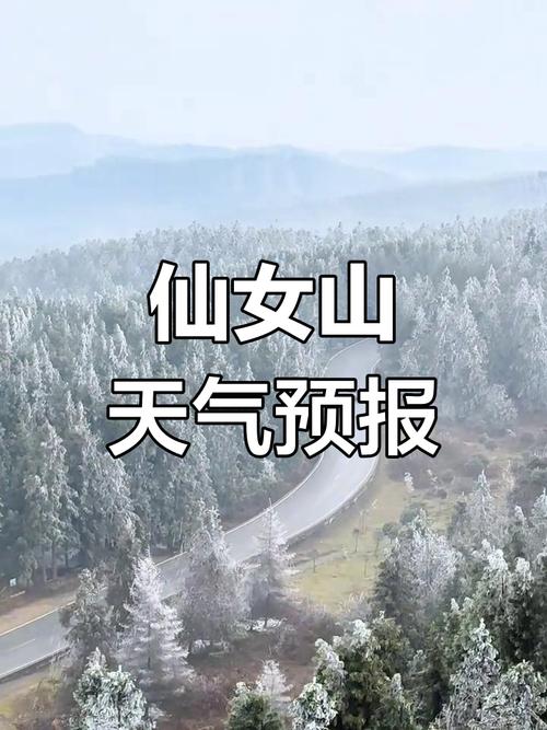 重庆天气预报一周，重庆天气预报一周7天查询结果？-第4张图片-优品飞百科