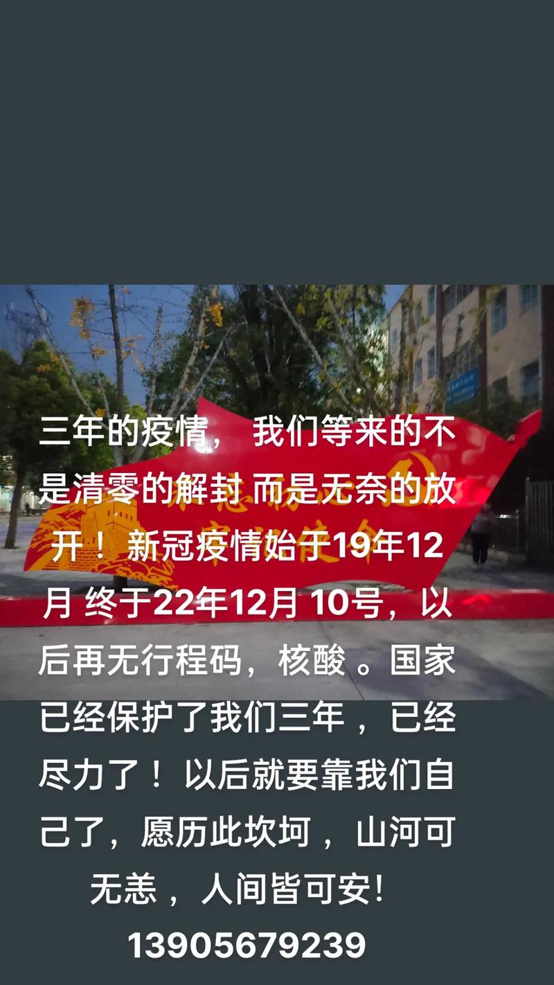 疫情几组数据，疫情的数据报告-第6张图片-优品飞百科