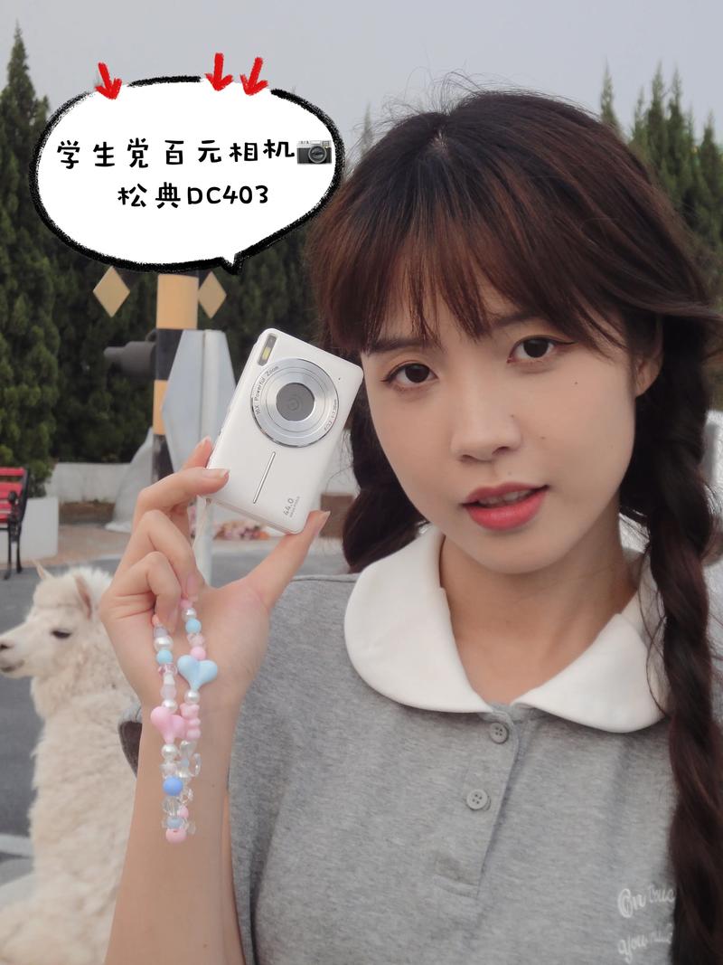 傻瓜相机多少钱一台，傻瓜相机测评？-第3张图片-优品飞百科