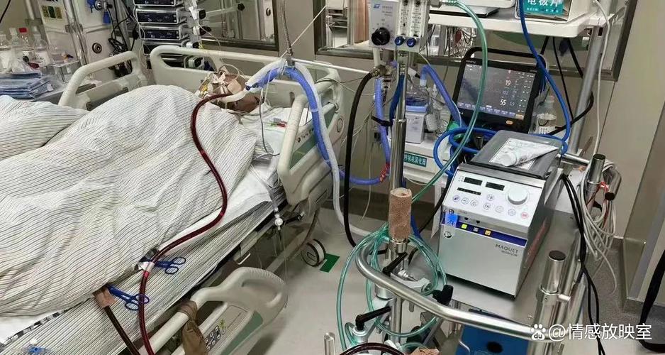 疫情己亥年？2020疫情文言文己亥末庚子春？-第2张图片-优品飞百科