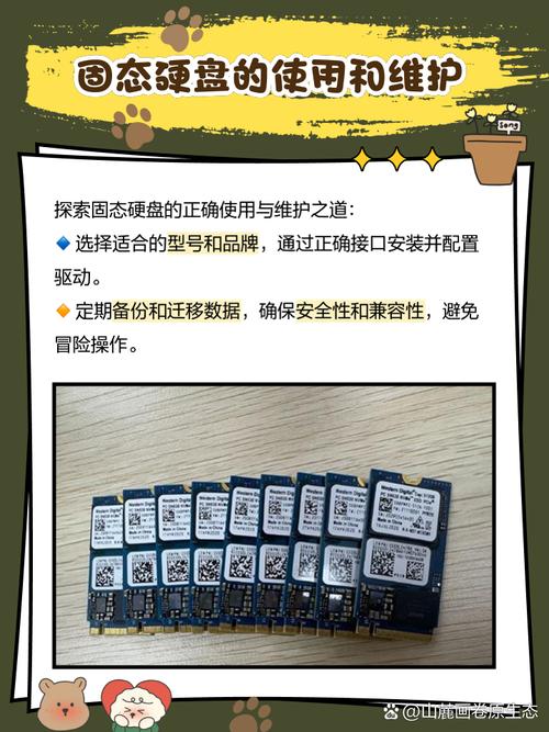 一块固态硬盘需要分区吗，一块固态硬盘需要分区吗多少钱