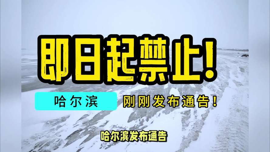 哈尔滨疫情传播链条,哈尔滨摸清疫情传播源头和链条-第6张图片-优品飞百科 哈尔滨疫情传播链条,哈尔滨摸清疫情传播源头和链条-第6张图片-优品飞百科