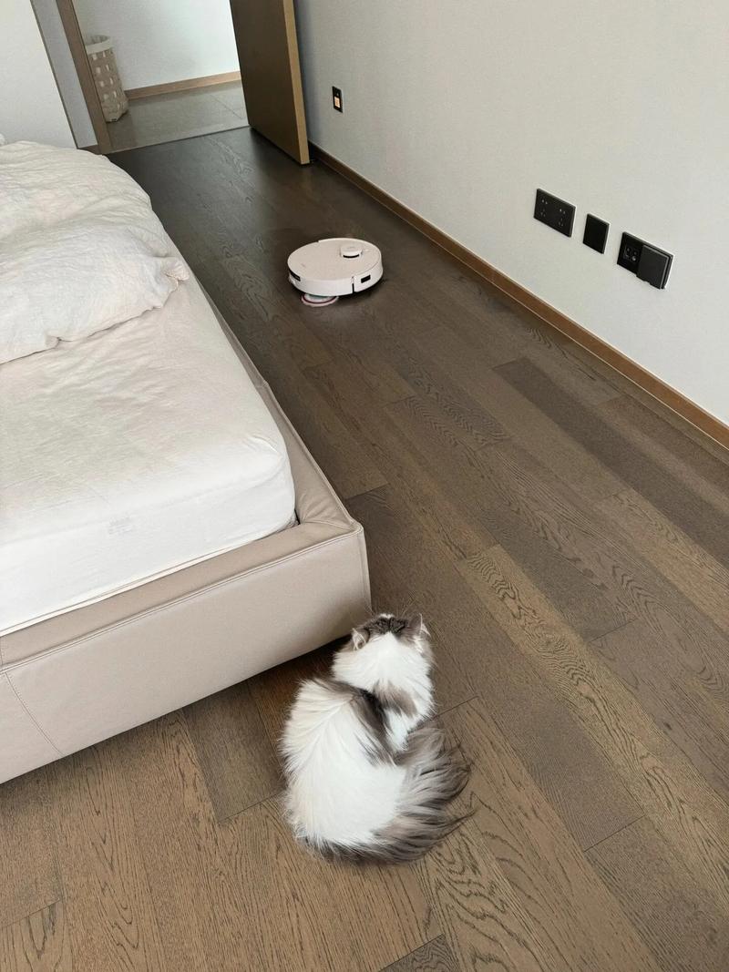 联想扫地机器人哪里买？联想智能扫地机器人a1使用方法？-第1张图片-优品飞百科