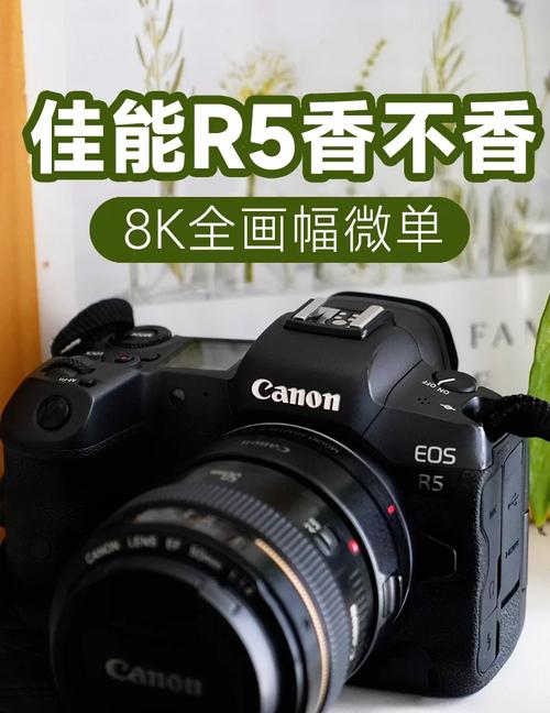 佳能r5评测样片，佳能r5真的有那么好吗?-第4张图片-优品飞百科