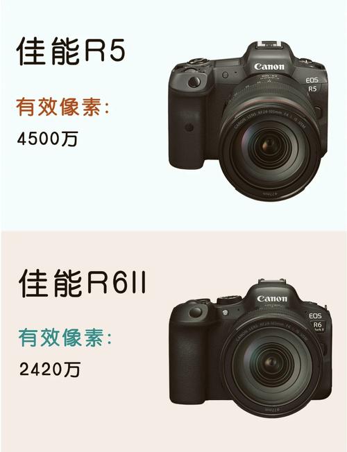 佳能r5评测样片，佳能r5真的有那么好吗?-第5张图片-优品飞百科