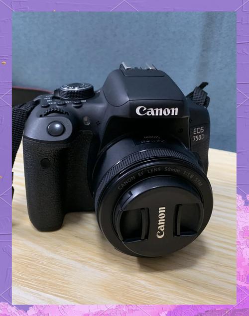 佳能750d样张，佳能eos750d相机-第4张图片-优品飞百科
