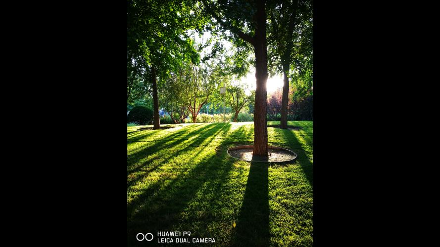 华为p9哪个版本拍照比较好，华为p9plus拍照怎么样-第2张图片-优品飞百科