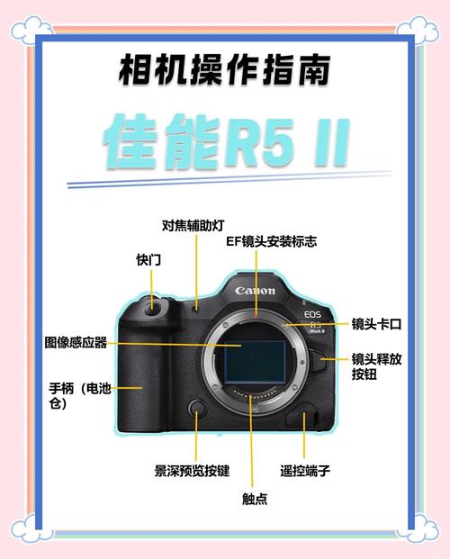 佳能相机数字代表什么，佳能相机数值都指什么？-第1张图片-优品飞百科