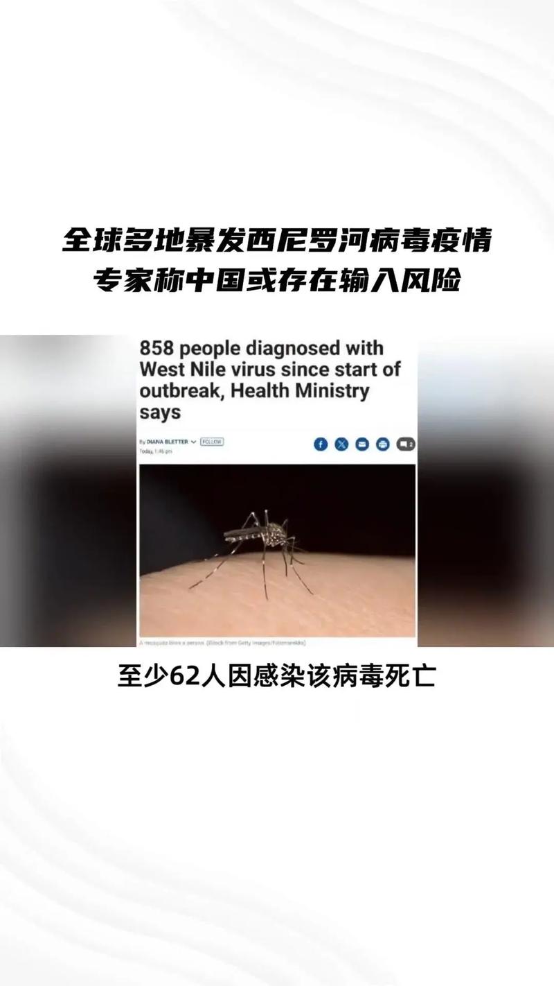 美国现在疫情社会，美国当下的疫情？-第5张图片-优品飞百科