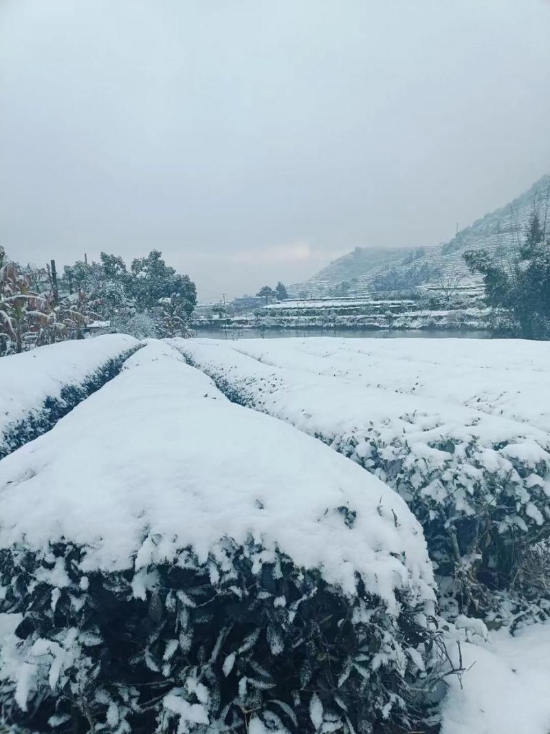 厦门天气预报一周？厦门天气预报一周15天？-第7张图片-优品飞百科