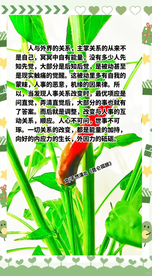 境外疫情时评，全球疫情时事评论？-第2张图片-优品飞百科