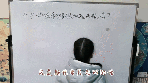 最大的数码相机，世界上最大的数码相机？-第5张图片-优品飞百科