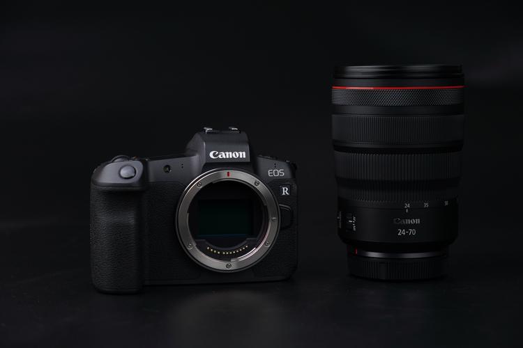 佳能性价比高的变焦镜头？佳能性价比高的变焦镜头推荐？-第4张图片-优品飞百科