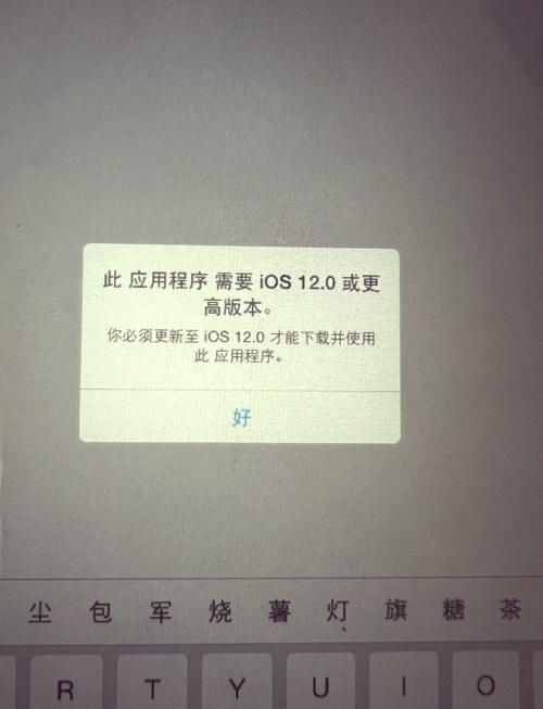 ipadmini2怎么更新，ipadmini2如何更新至ios13？-第2张图片-优品飞百科