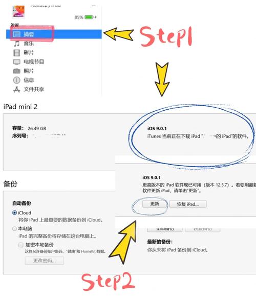 ipadmini2怎么更新，ipadmini2如何更新至ios13？-第7张图片-优品飞百科