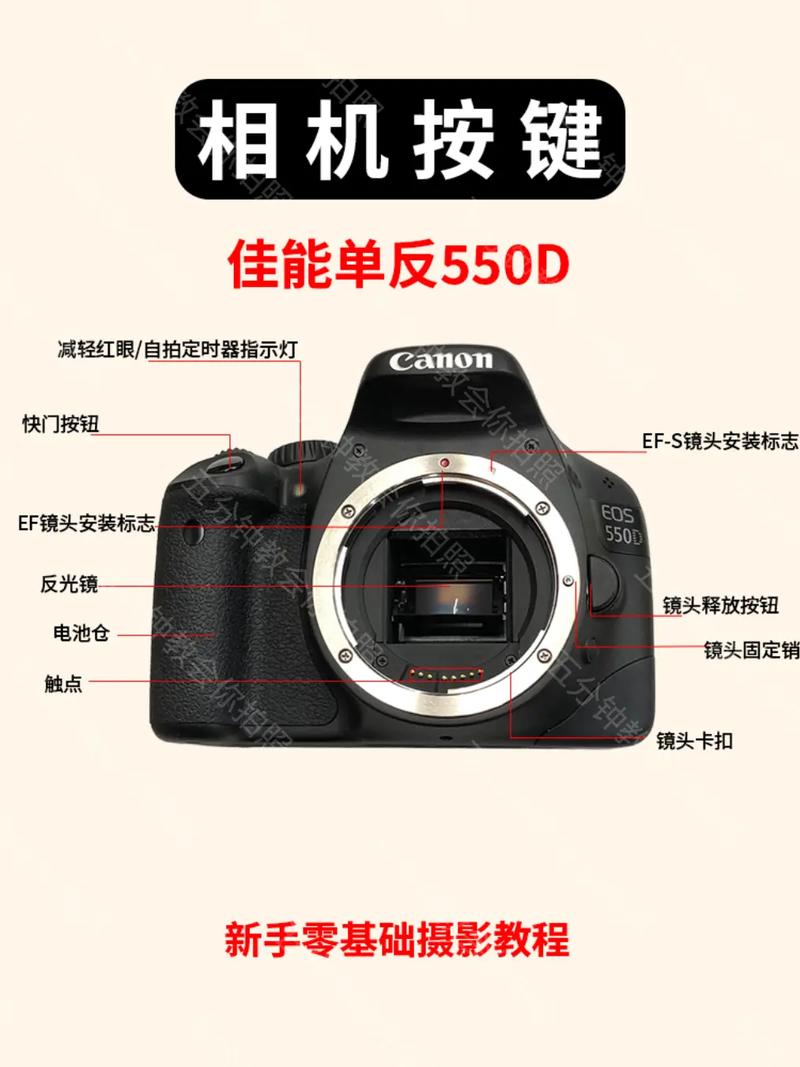 佳能相机包费用，佳能摄影包？-第5张图片-优品飞百科