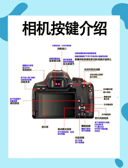 佳能c300原生iso？佳能eos c300 mark iii？-第4张图片-优品飞百科