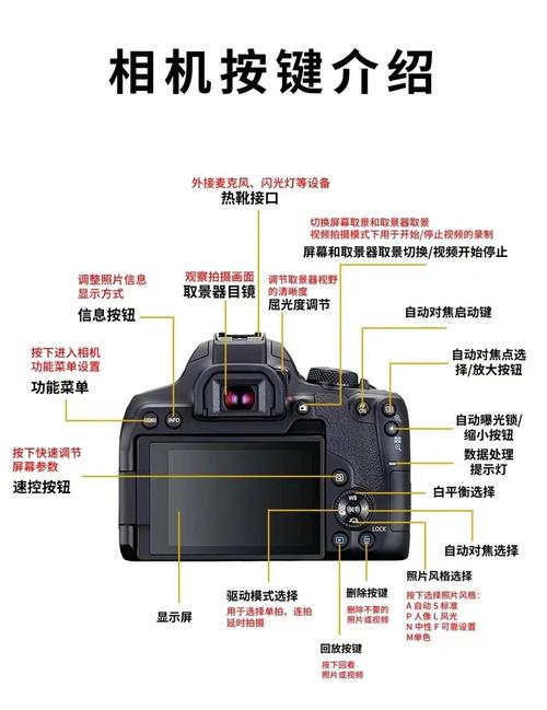 佳能c300原生iso？佳能eos c300 mark iii？-第6张图片-优品飞百科