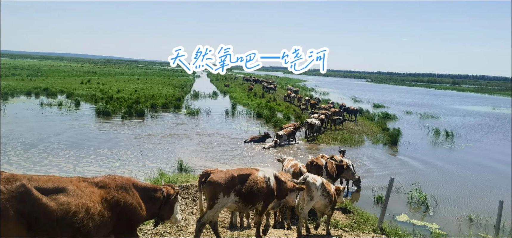 双鸭山天气预报一周，双鸭山天气预报一周7天？-第6张图片-优品飞百科