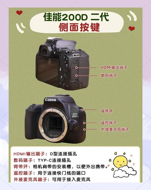佳能单反相机200d二代，佳能相机200d2代-第4张图片-优品飞百科