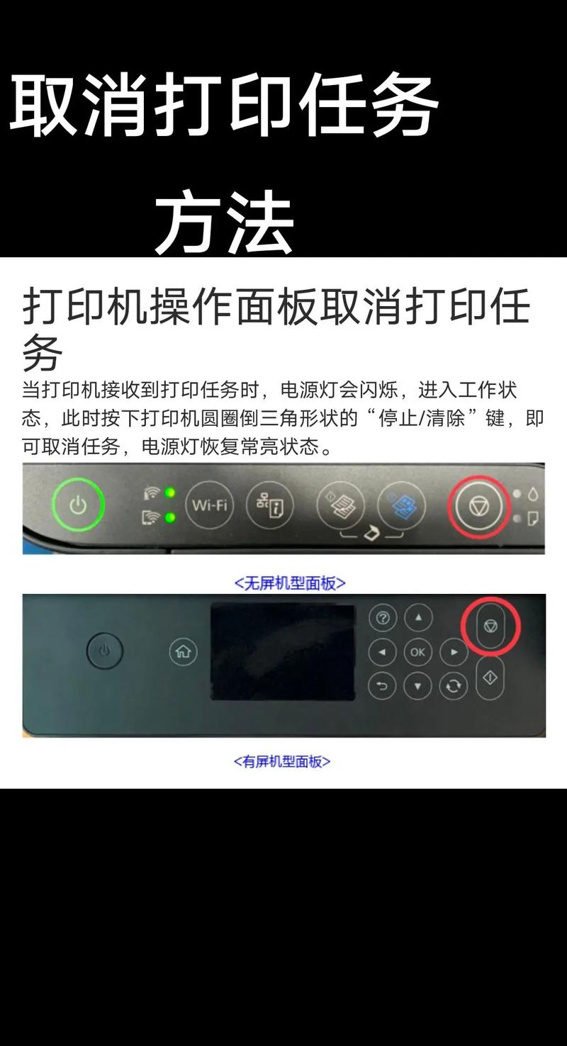 多功能打印机不能扫描？打印机不可以扫描怎么办？-第5张图片-优品飞百科