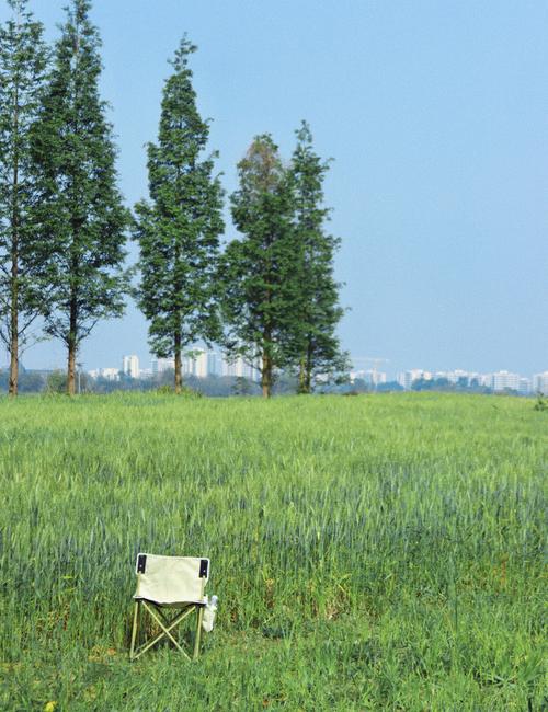 新都疫情，新都疫情最新情况今天-第6张图片-优品飞百科