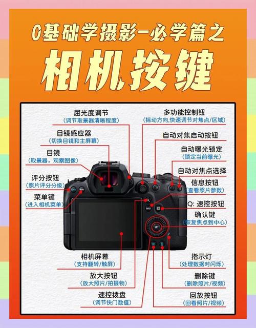 佳能相机的录像键是哪个？佳能录像按钮在哪？