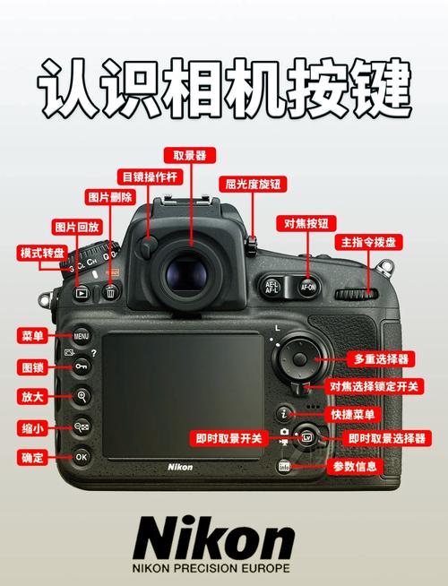 佳能相机的录像键是哪个?佳能录像按钮在哪?-第2张图片-优品飞百科 佳能相机的录像键是哪个?佳能录像按钮在哪?-第2张图片-优品飞百科