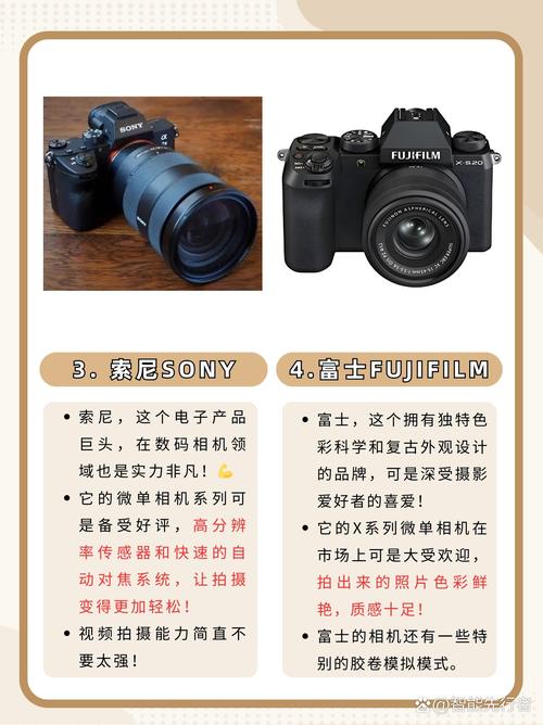 sony数码相机排名，索尼哪款数码相机好？-第6张图片-优品飞百科