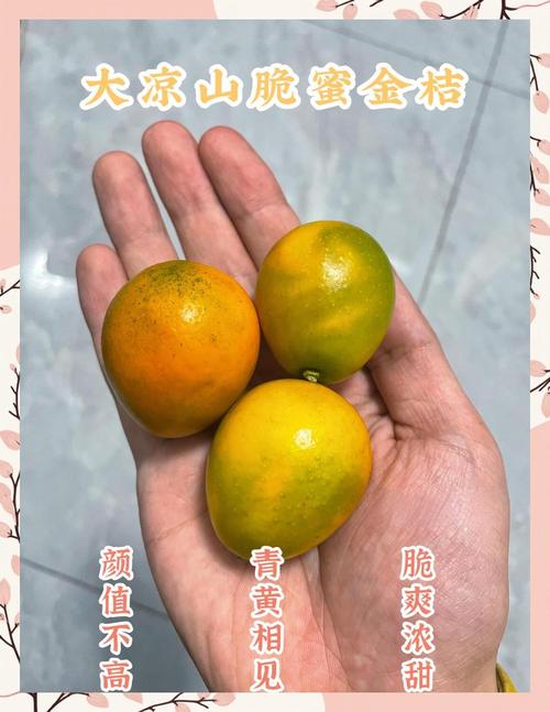 郑州疫情水果，最新郑州水果批发市场？-第3张图片-优品飞百科