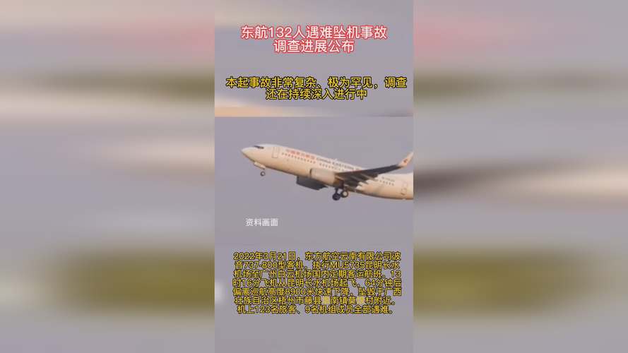 疫情飞机遇难，2020年疫情飞机停运了吗-第2张图片-优品飞百科