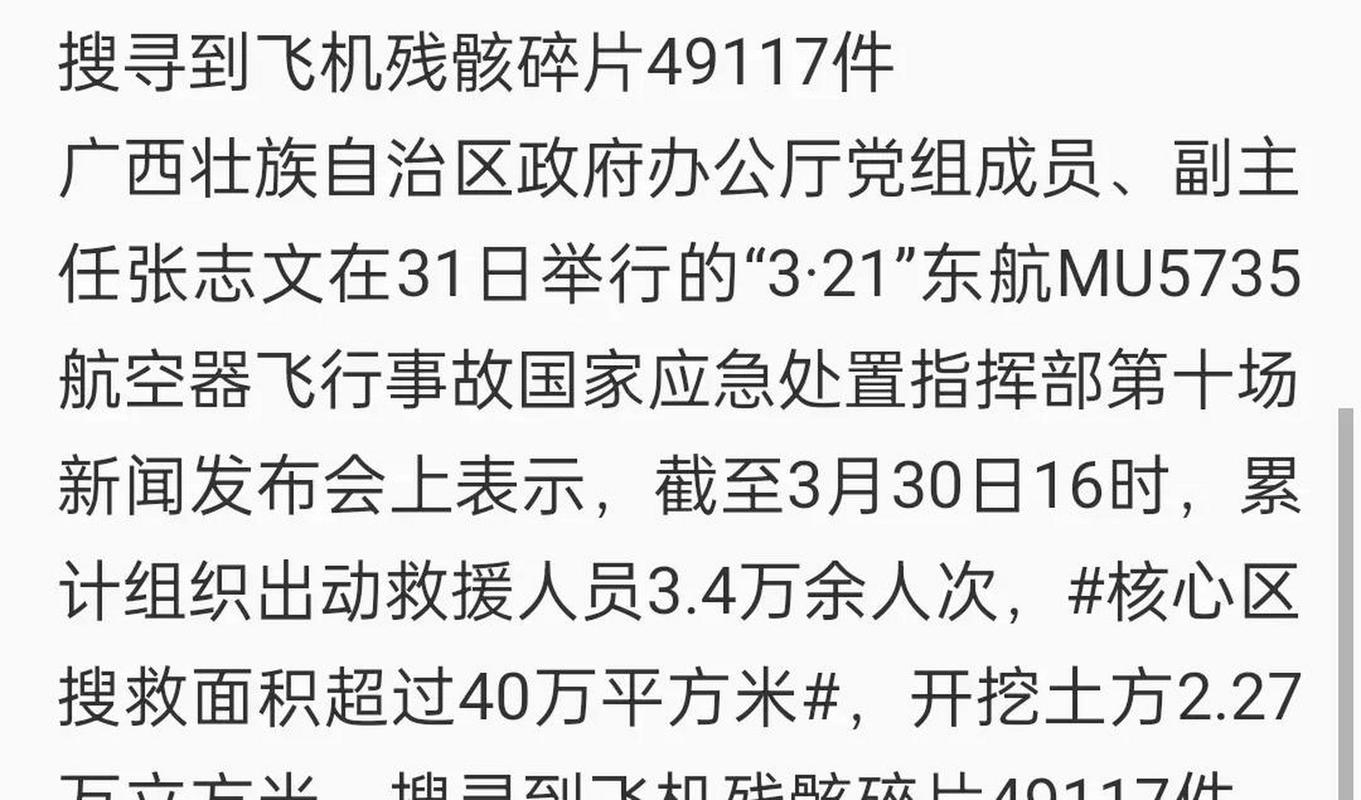 疫情飞机遇难，2020年疫情飞机停运了吗-第3张图片-优品飞百科