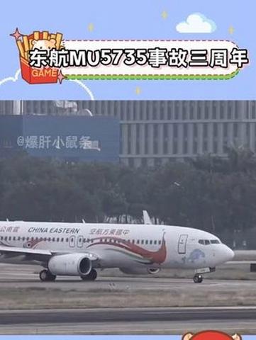 疫情飞机遇难，2020年疫情飞机停运了吗-第5张图片-优品飞百科