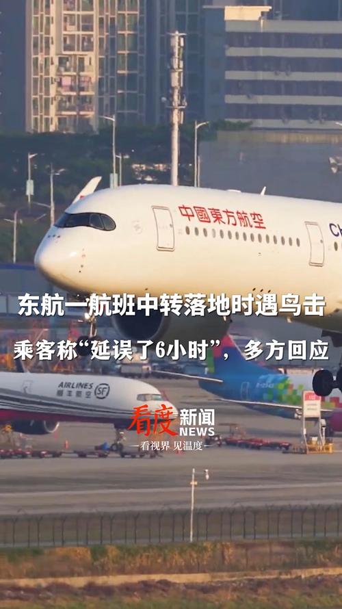 疫情飞机遇难，2020年疫情飞机停运了吗-第6张图片-优品飞百科