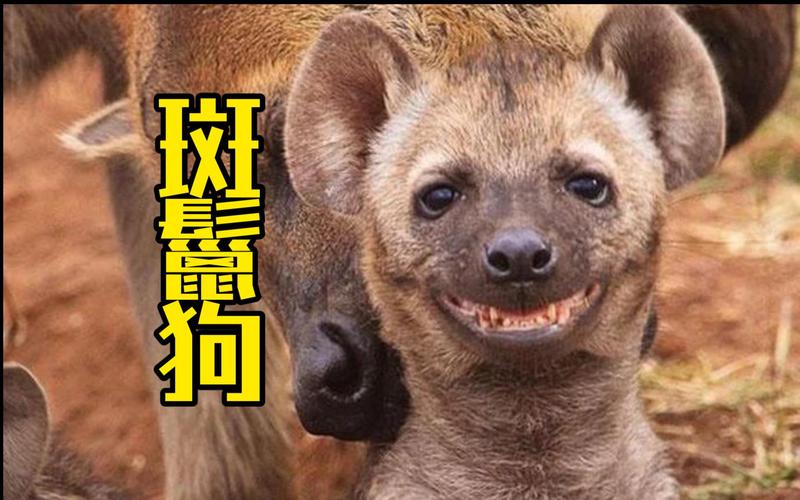 深圳疫情粪便，深圳发现本土病例？-第5张图片-优品飞百科