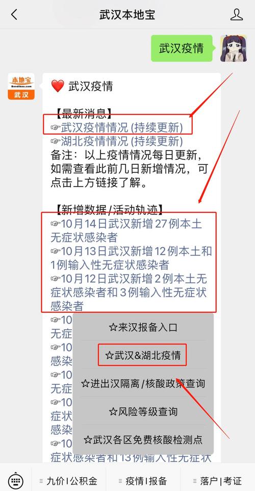 武汉疫情区，武汉疫情区域划分-第2张图片-优品飞百科